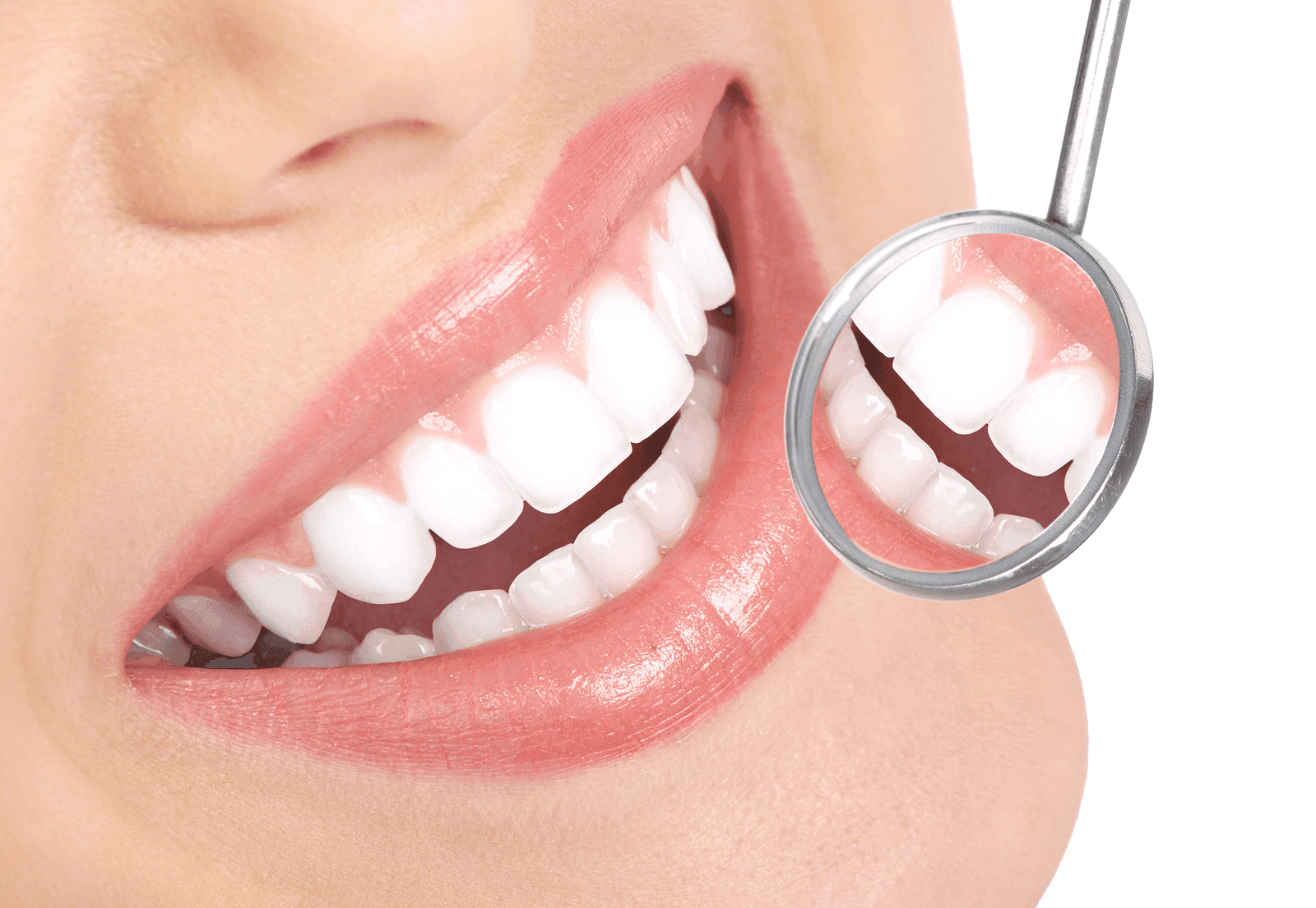 Dental Sciences banner
