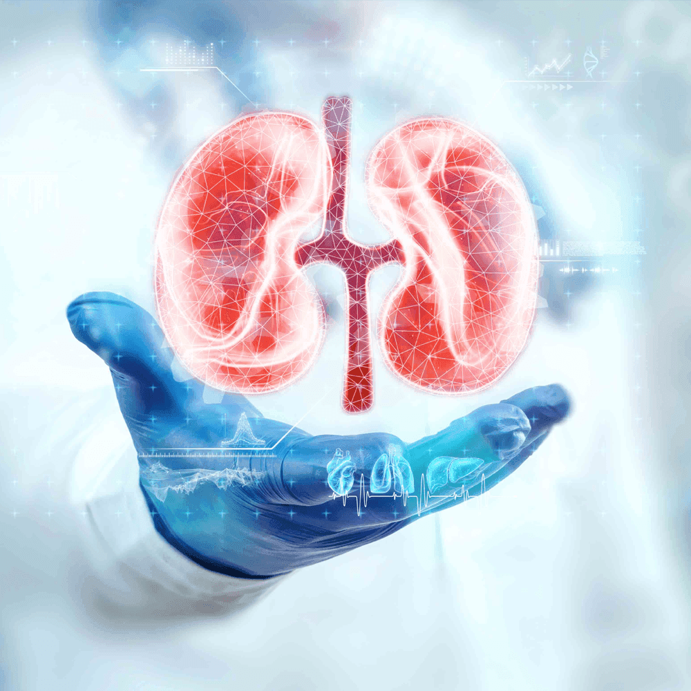 Nephrology & Dialysis banner