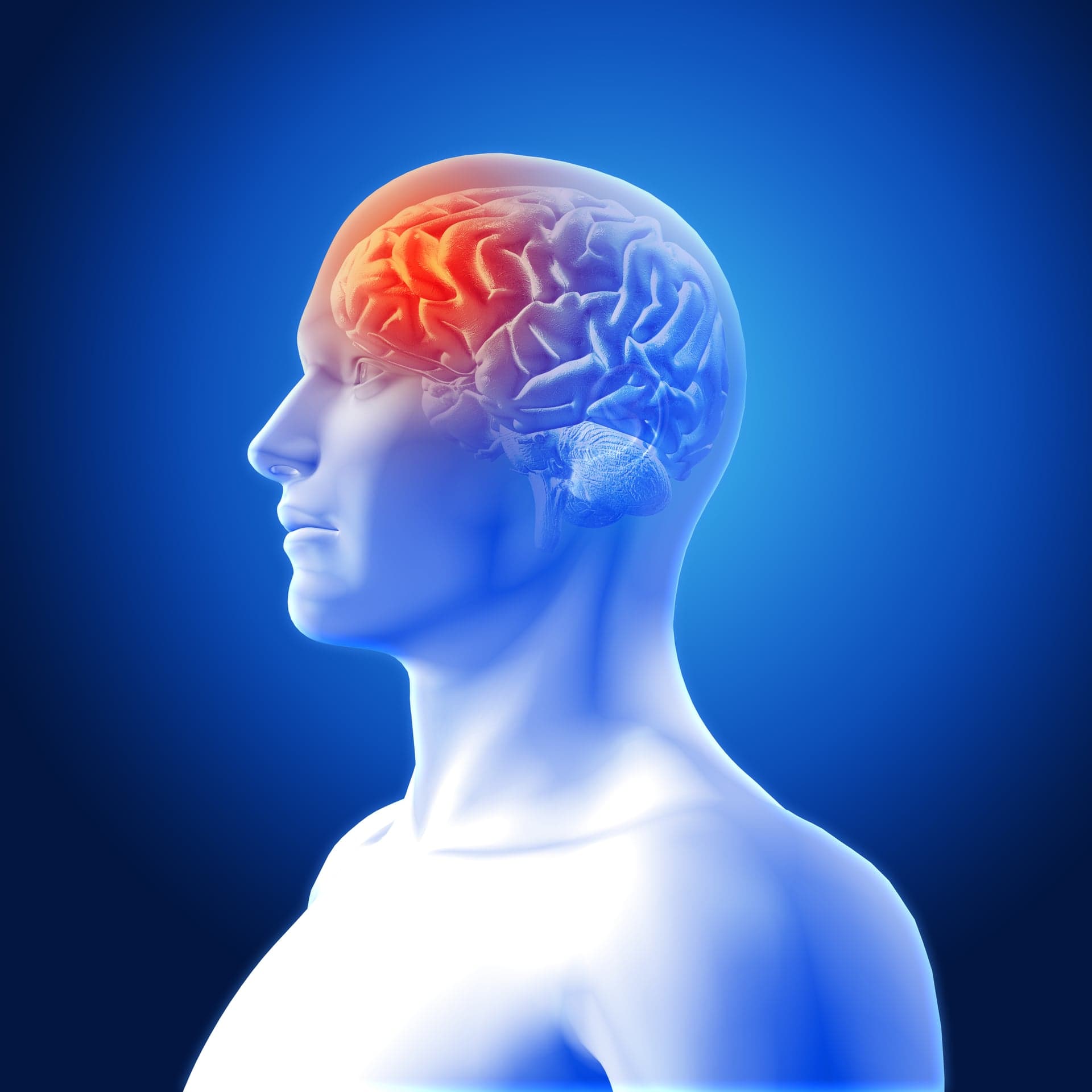 Neurology banner